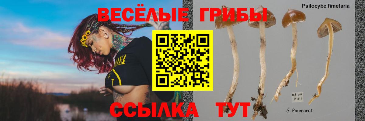 Галлюциногенные грибы прущие грибы Клинцы